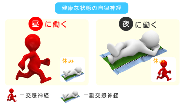 自律神経の乱れ L 肩腰膝の痛みは西葛西中央整骨院